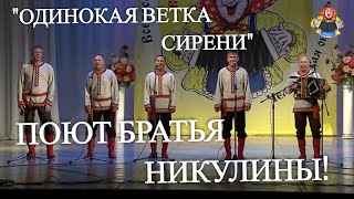 " ОДИНОКАЯ ВЕТКА СИРЕНИ " Поют братья Никулины . НАСТОЯЩИЙ НАРОДНЫЙ ХИТ! в гостях у "Митрофановны"