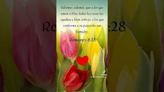 Yo te doy gracias mi amado DIOS PADRE TODOPODEROSO por toda tu misericordia y amor.💓.Amén...