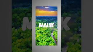 Viral Name Photo Editing| Urban Jungle Font | Blur Video Editing