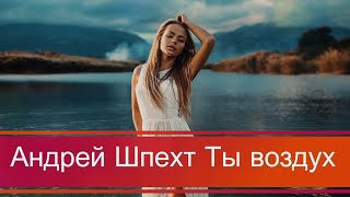 Андрей Шпехт - Ты воздух