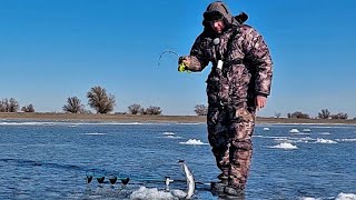 После ТАКОЙ РЫБАЛКИ нужен ВЫХОДНОЙ!!! Сколько тут САЗАНОВ!!! Ловля зимних судаков в Астрахани.