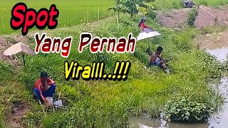 Mancing Nila Liar ‼️ Nyerang Di Spot Yang Pernah Viralll... Bersama Bolo Bolo Mancing