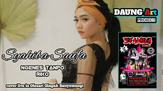 Syahiba Saufa live in Olehsari Glagah Banyuwangi _ Ngenes tanpo riko cover live