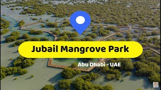 Jubail Mangrove Park | Travel Vlog | Everything you need to know | Abu Dhabi | UAE | Part - 1