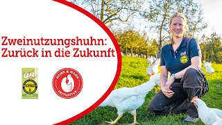 Zweinutzungshuhn: Zurück in die Zukunft