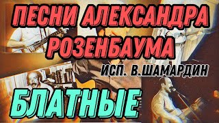 4. Песни Александра Розенбаума (исп. В.Шамардин) Блатные. Акустика.