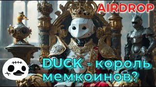 Аирдроп DUCKS. Memecoins DUCKS, PIGS, GOATS, CATS, DOGS Telegram bots