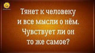 Тянет к человеку как магнитом, а он чувствует то же самое? Иллюзии и правда в отношениях.