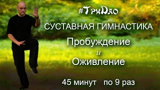 Суставная гимнастика: Пробуждение и Оживление (45 мин. по 9 раз)