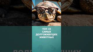 Топ 10 самых долгоживущих животных #животные #топ10 #комарик #интересное #шортс #shorts