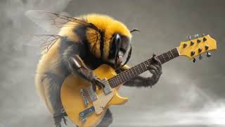 Killer Bee Rocks an Original Bug Muzak Track 'Killer Bees' - Heavy Metal Madness!