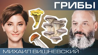 Грибы – наши союзники или враги? Миколог Михаил Вишневский