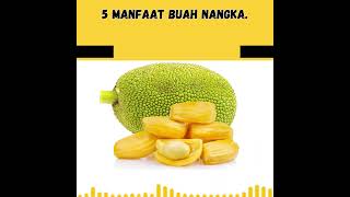 5 Manfaat Buah Nangka