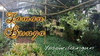 Yosowilangun  'Taman Bunga'