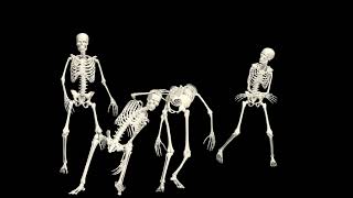 Dancing Skeletons 3D. 3D Skeletons Fanny Dance Animation. Skeleton 3D dance.