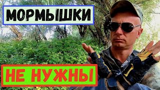 Как Ловить Мормышингом БЕЗ МОРМЫШЕК?/5 Видов Рыб за 15 Минут #мормышинг