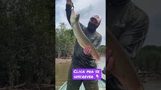 Como chama esse peixe por aí? #pesca #fishing #fish