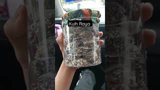 Kuih Raya rasa sdp utk Raya Sabtu #amirb