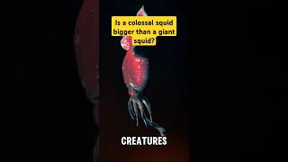 The Truth About the Colossal Squid #factshorts #shorts #animals