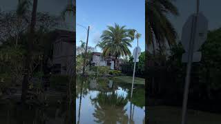 Wilton manors flooded