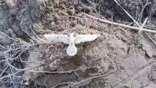 Коп по войне.ДЕНЬ ПРЯГ.КУЧА НАХОДОК!!!ww2 metal detecting.