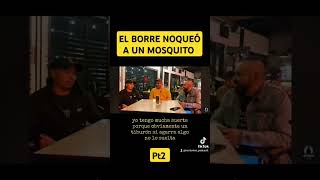 pt2 EL BORRE NOQUEÓ A UN MOSQUITO #parati #viral #viralreels #storytime #fyp #leyendas