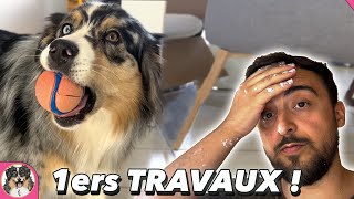 PREMIER WEEK-END À LA MAISON et premiers travaux -  Vlog