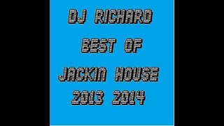 DJ Richard Best Of Jackin Basslines & Dirty Electro 2013 - 2 hour mix