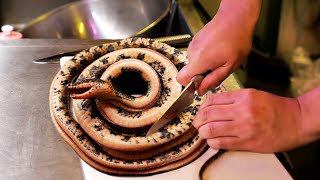 Japanese Food - SNAKE AND CROW HOTPOT Kome to Circus Tokyo Japan