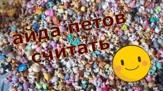 Считаю петов :)