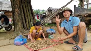 Orphan girl Harvesting peanuts to sell at market and Cooking Ly Thi Truc