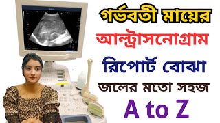 আল্ট্রাসাউন্ড রিপোর্ট বোঝার সহজ উপায় । Ultrasound Pregnancy test in bangla