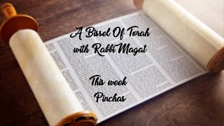 A Bissel of Torah with Rabbi Magat, Ep. 37: Pinchas