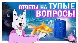 ТЫ ХОТЕЛ ЭТО УЗНАТЬ | ВОПРОСЫ 4 ЧАСТЬ