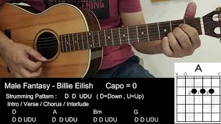 Male Fantasy - Billie Eilish - Guitar Tutorial with Chords / Lyrics