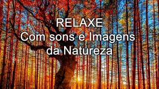 RELAXE com Sons e Lindas Imagens da Natureza | Som de Pássaros | Lindos Jardins e Florestas | Acalma