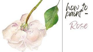 Watercolor for Beginners | Subtle Rose