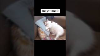 Не унывай  ТЫ можешь дальше больше #подпишись