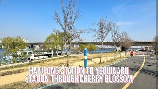 [5K Seoul] Hapjeong Station to Yeouinaru Station through Cherry Blossom (벚꽃길을 따라 합정역에서 여의나루역까지)