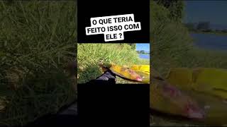 O QUE ACONTECEU COM ELE?#pescaria #pesca #tucunare #pescaesportiva #pescariaesportiva