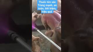 Thuốc tím xác Trùng mạnh, hiệu quả, tiết kiệm, an toàn cho vật nuôi