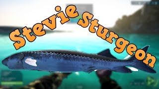 STEVIE STURGEON | ULTIMATE FISHING SIMULATOR