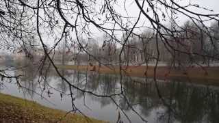 ФУТАЖ  АЖУРНОЕ ДЕРЕВО НАД ВОДОЙ