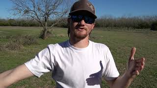 SPRING FOOD PLOTS! The Rundown