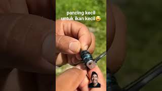 PANCING KECIL UNTUK MEMANCING IKAN GEMOY🫥🤣