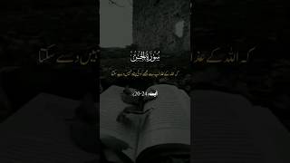 Surah Jinn 20 to 24 #youtubeshorts #shorts #viral #fyp #viralvideo #quran #islam #surahjinn #tarjuma