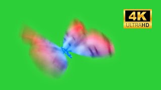 3 Green screen butterfly flying video effects | 4k 2023 edits overlay #3