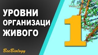 Урок по Биологии №1 - Уровни Организации Живой Материи