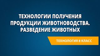 Технологии получения продукции животноводства. Разведение животных