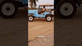 Willy drive shoot #willyjeep #willy #willyscj3b #jeeplovers #jeeplife #willyjeeps #viral #shorts